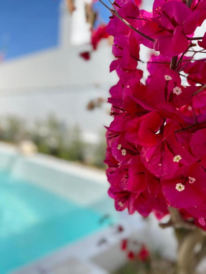 Villa Sal - Alvor Kültér fotó